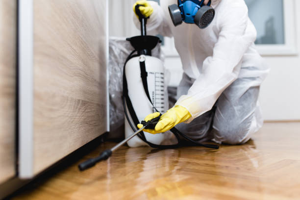 Best Cockroach Control Services  in Emeryville, CA