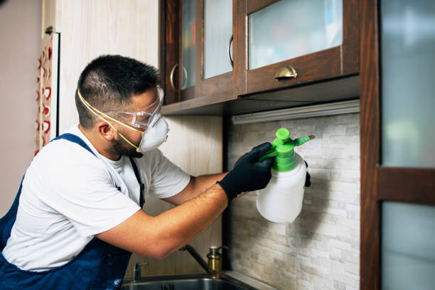 Best Emergency Pest Control  in Emeryville, CA