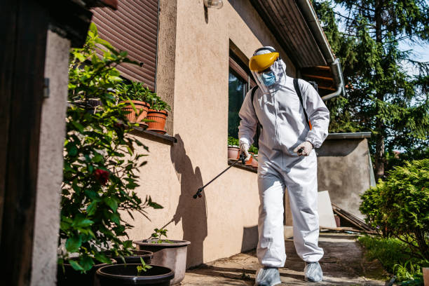 Best Rat Extermination Near Me  in Emeryville, CA