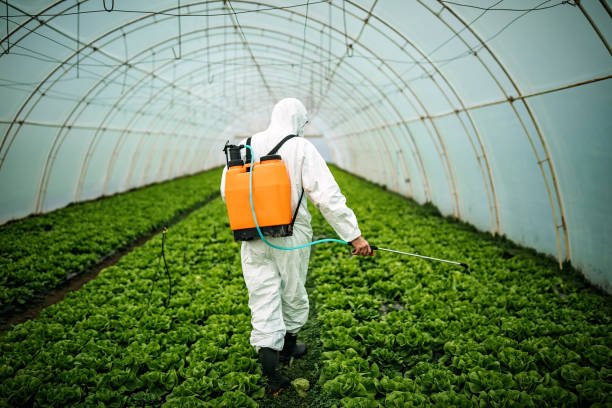 Best Mosquito Control Services  in Emeryville, CA