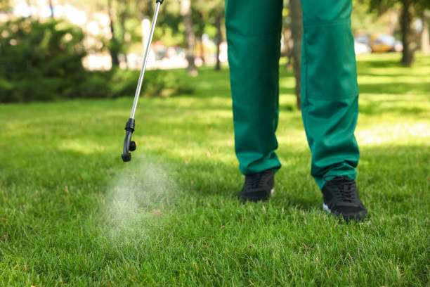  Emeryville, CA Pest Control Pros