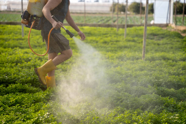 Best Pest Inspection Near Me  in Emeryville, CA