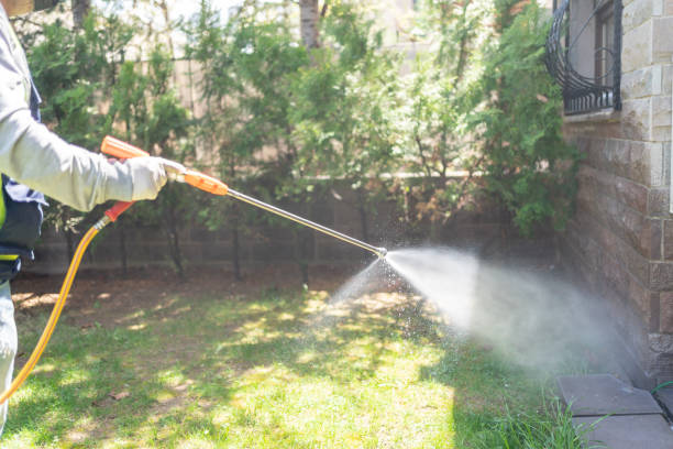 Best Ant Control Services  in Emeryville, CA