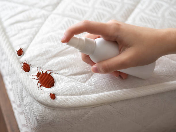 Best Affordable Pest Control Services  in Emeryville, CA