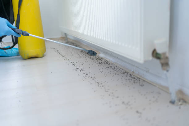 Best Insect Control  in Emeryville, CA