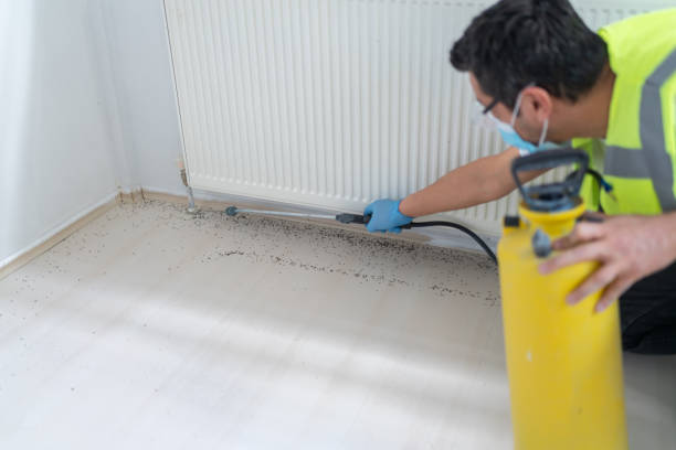 Best Local Pest Control Services  in Emeryville, CA