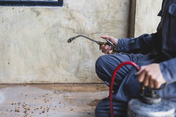 Best Best Pest Control Companies  in Emeryville, CA